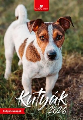 Naptár, fali, DAYLINER, "Kutyák"